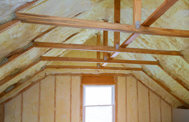 Best Attic Insulation Near Me  in North Riverside, IL